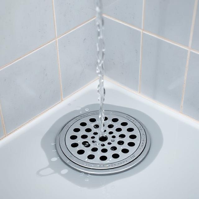 Shower Drain Cover